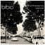 Bibio