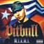 Pitbull feat. Lil Jon