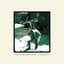 John Moreland