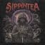 sippintea