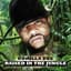 Gorilla Zoe