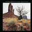 New Riders Of The Purple Sage