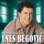 Enes Begovic