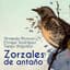 Armando Moreno
