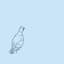 Birb
