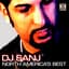 DJ Sanj