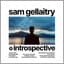 Sam Gellaitry