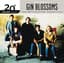 Gin Blossoms