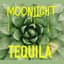 Moonlight