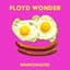 FLOYD WONDER