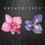 Orchid / Iris