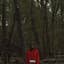 Night Lovell