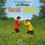 Yusuf / Cat Stevens