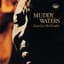 Muddy Waters