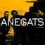 Anegats
