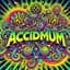 Acid Mothers Temple SWR