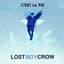 Lostboycrow