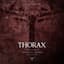 Thorax