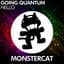 Going Quantum