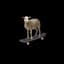 Zibbo Dry Bone
