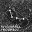 aviscerall