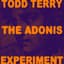 Todd Terry