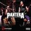 Pantera