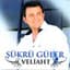 Şükrü Güler