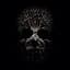 Amatory