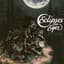 Eclipses For Eyes