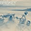 Briskey