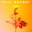 Paul Brandt