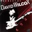 David Wilcox