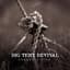 Big Tent Revival