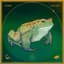 FrogtheDawg
