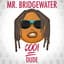 Mr Bridgewater