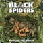 Black Spiders