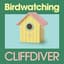 CLIFFDIVER