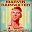 Marvin Rainwater
