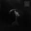 How to Disappear Completely