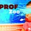 Prof