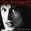 The Waterboys