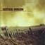 Vertical Horizon