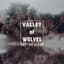 Valley Of Wolves