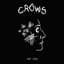 Crows