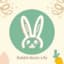 Rabbit Music9