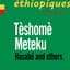 Teshome Meteku
