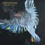 Powderfinger