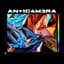 ANTICAMERA