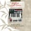 Scott Joplin